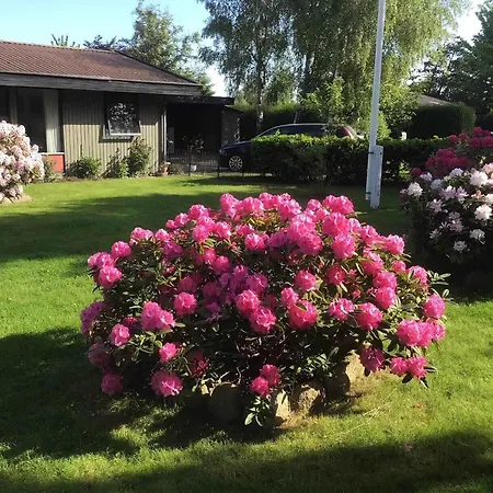 Paradise With Pool Near Havnso